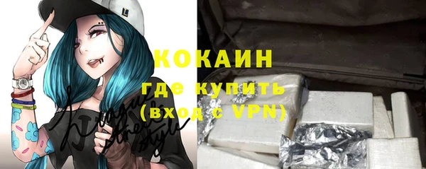 сатива Козельск