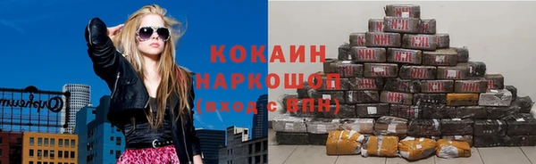 твердый Козловка