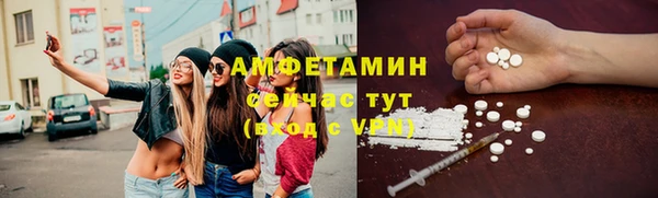 сатива Козельск