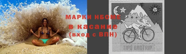 сатива Козельск