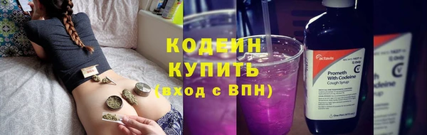 сатива Козельск