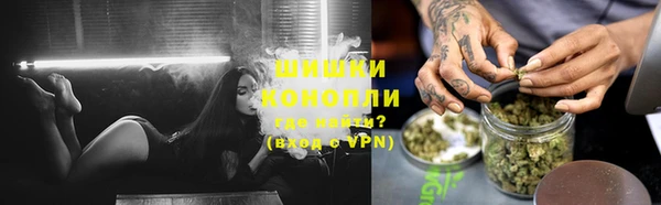 сатива Козельск