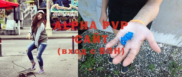 сатива Козельск