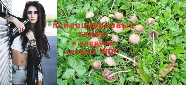 сатива Козельск